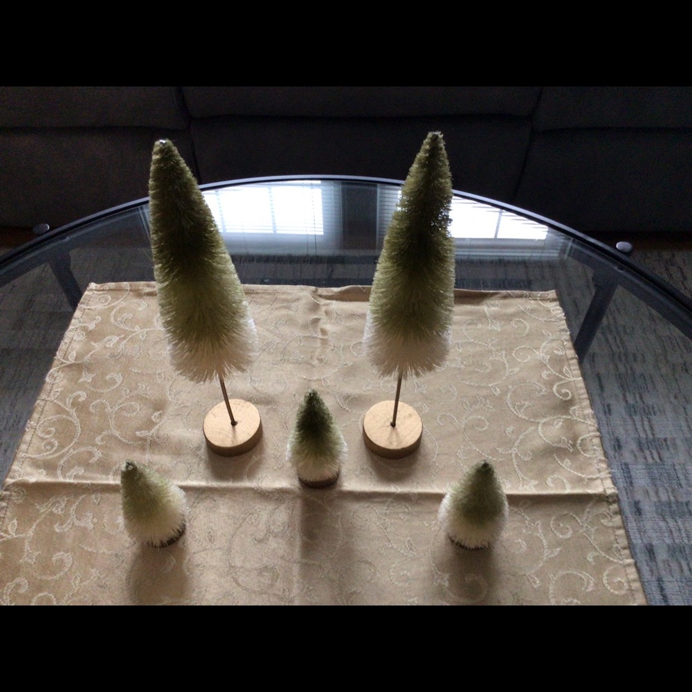 Bottlebrush trees